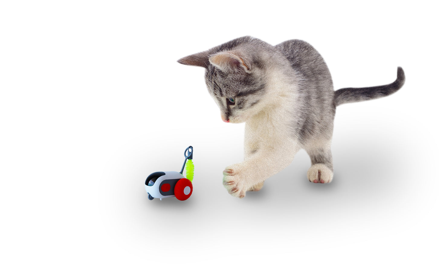 ChaseCar – Voiture interactive télécommandée